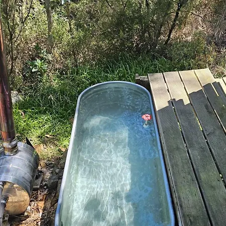 Glasshouse - Near River - Near - Near Ocean Lodge *
