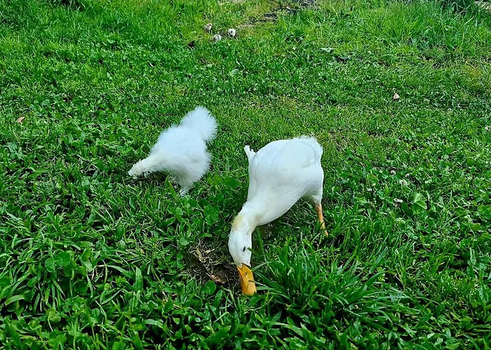 Glasshouse - Near River - Near - Near Ocean 포르투