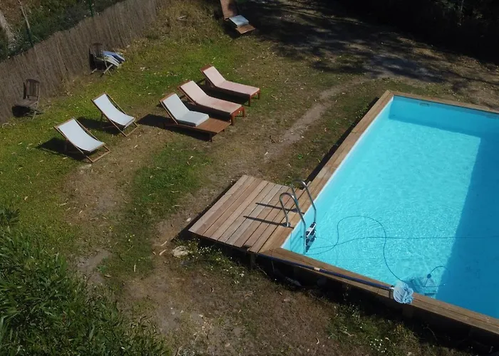 Glasshouse - Near River - Near - Near Ocean