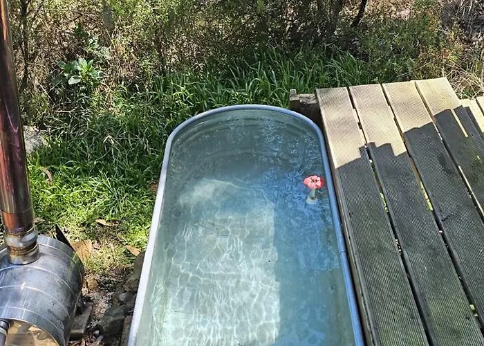 Glasshouse - Near River - Near - Near Ocean Lodge *